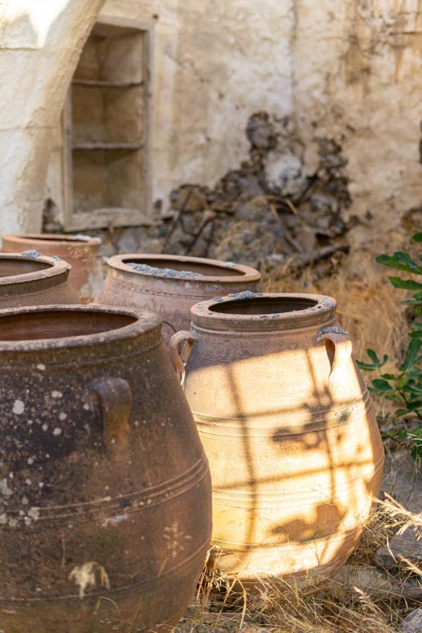 Villa Maria Stavrokhorion Bagian luar foto