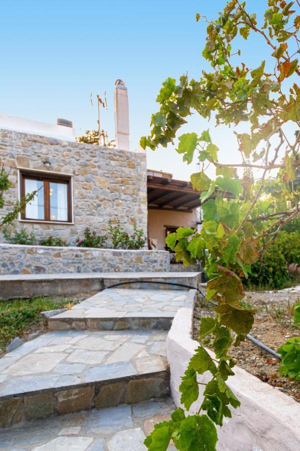Villa Maria Stavrokhorion Bagian luar foto